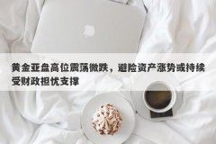 黄金亚盘高位震荡微跌，避险资产涨势或持续受财政担忧支撑