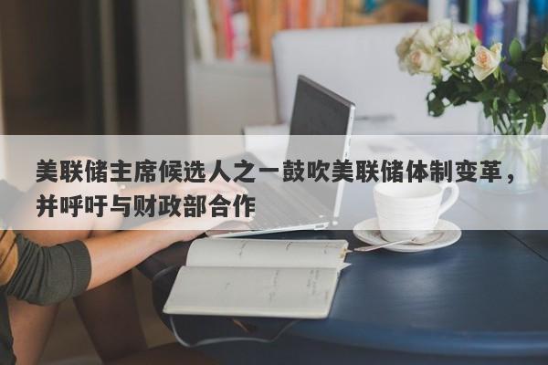 美联储主席候选人之一鼓吹美联储体制变革，并呼吁与财政部合作